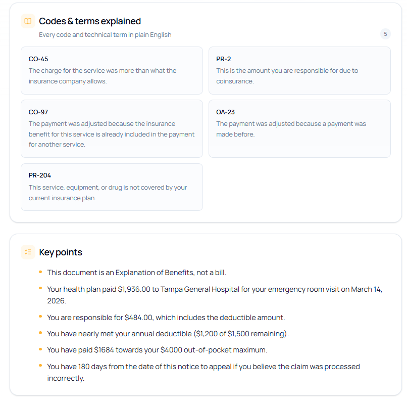 DocSimple 'Codes & terms explained' panel translating billing codes CO-45, PR-2, CO-97, OA-23 and PR-204, plus a 'Key points' summary list.